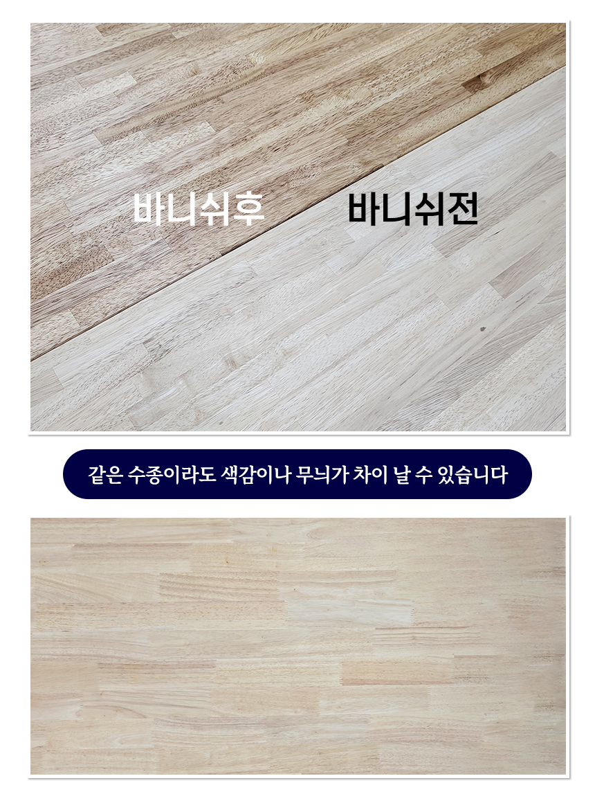 고무나무질감